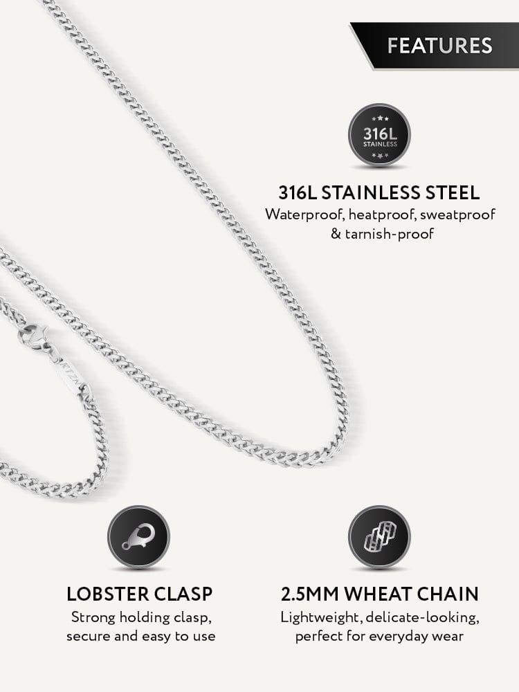 features of silver chain shown on white background