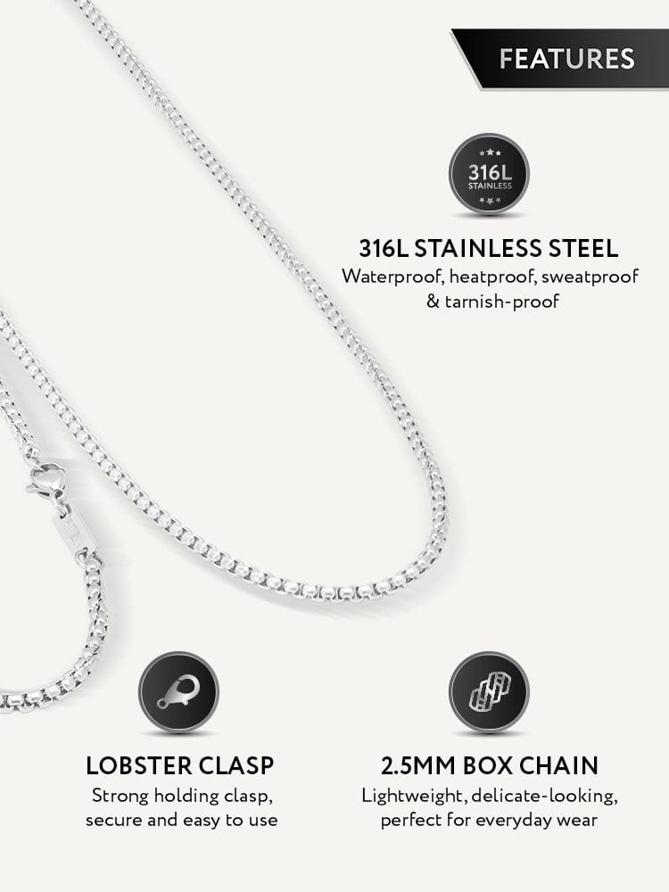 Silver necklace with features highlighted on a white background